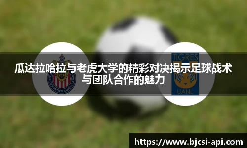 星空XK·(中国)体育